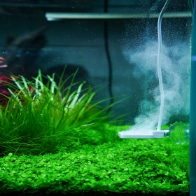 Chihiros Doktor Mate - Ionisator für Aquarien bis 125L