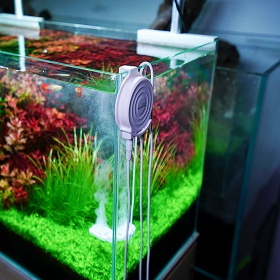 Chihiros Doktor Mate - Ionisator für Aquarien bis 125L