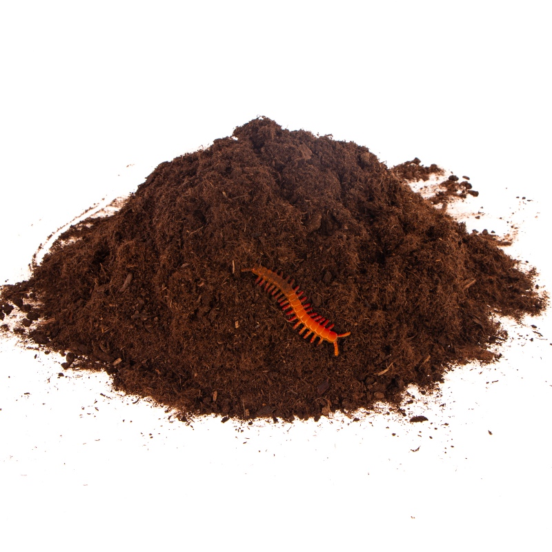 Terrario Paraguay Muds Powder 5L - Universal Substrate