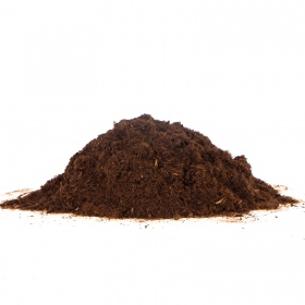 Terrario Paraguay Muds Powder 5L - Universelles Substrat