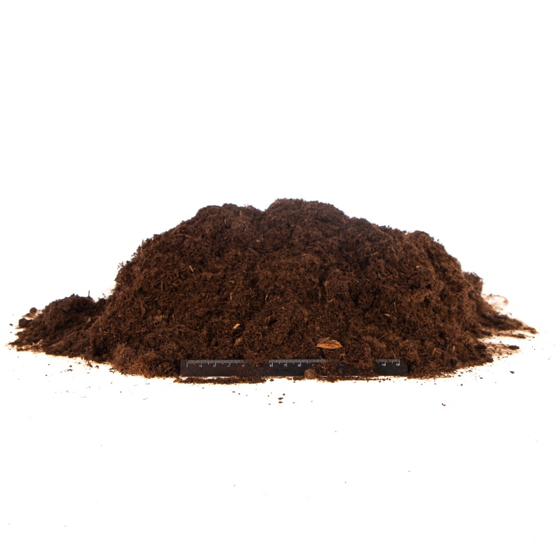 Terrario Paraguay Muds Powder 5L - Universelles Substrat