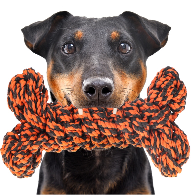 HappyPet Knots Extreme Bone - Brinquedo de Corda