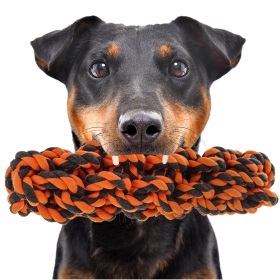 HappyPet Knots Extreme Log - Chew Toy for Dogs