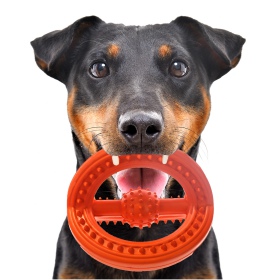 HappyPet Frame Ball - kumipallo