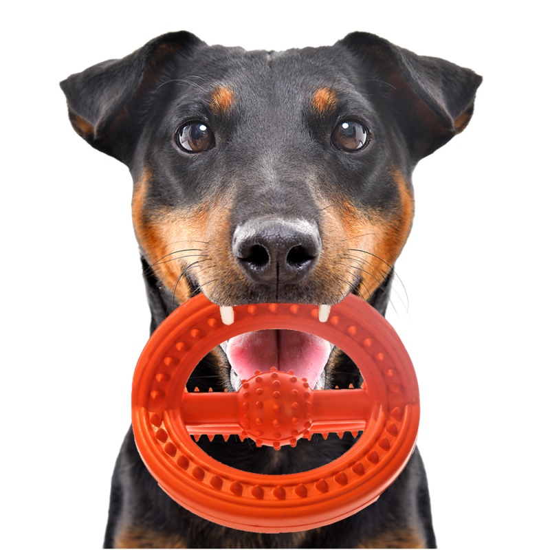 HappyPet Frame Ball - Rubber Ball for Dogs