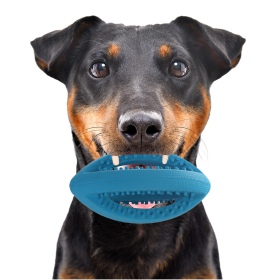 HappyPet Interactive Rugby Ball Mini