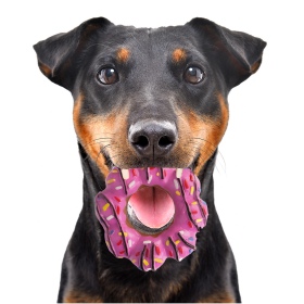 HappyPet Vinyl Donut - Hundespielzeug