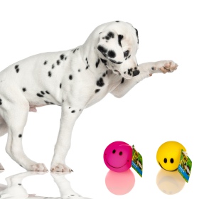 HappyPet Smiley Ball - pelota sonriente