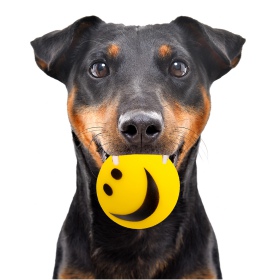 HappyPet Smiley Ball - balle souriante