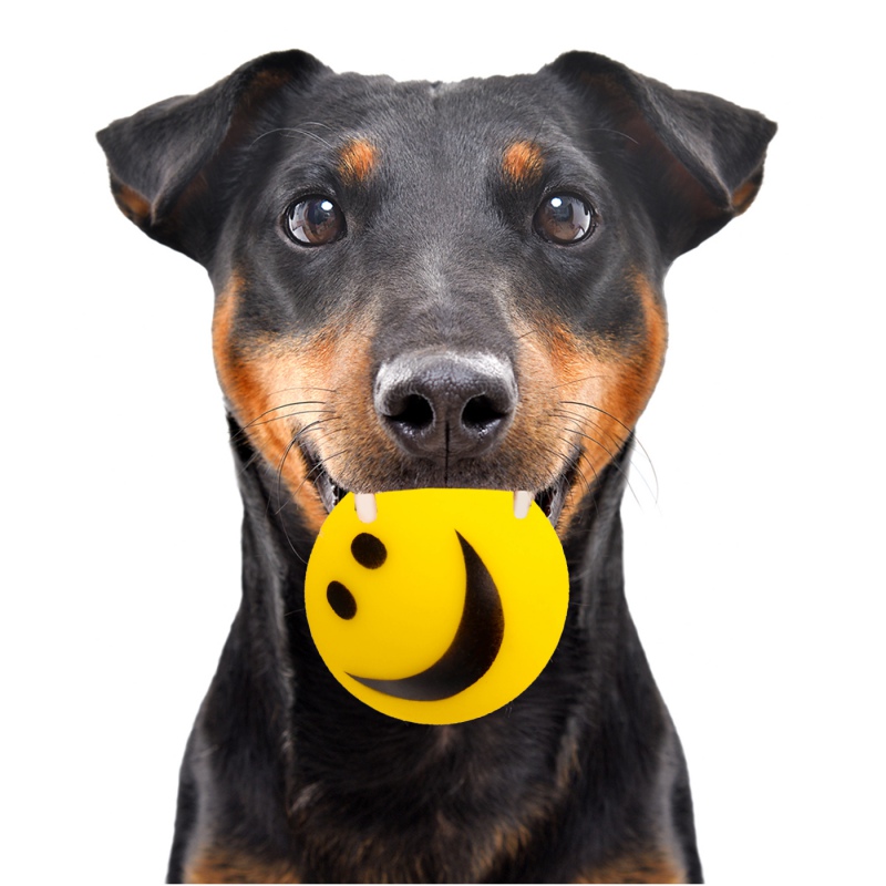 HappyPet Smiley Ball - Smilende Ball