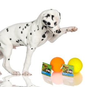 HappyPet Glow Balls - balle qui couine