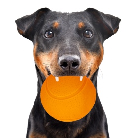 HappyPet Glow Balls - Pallina che squeaks