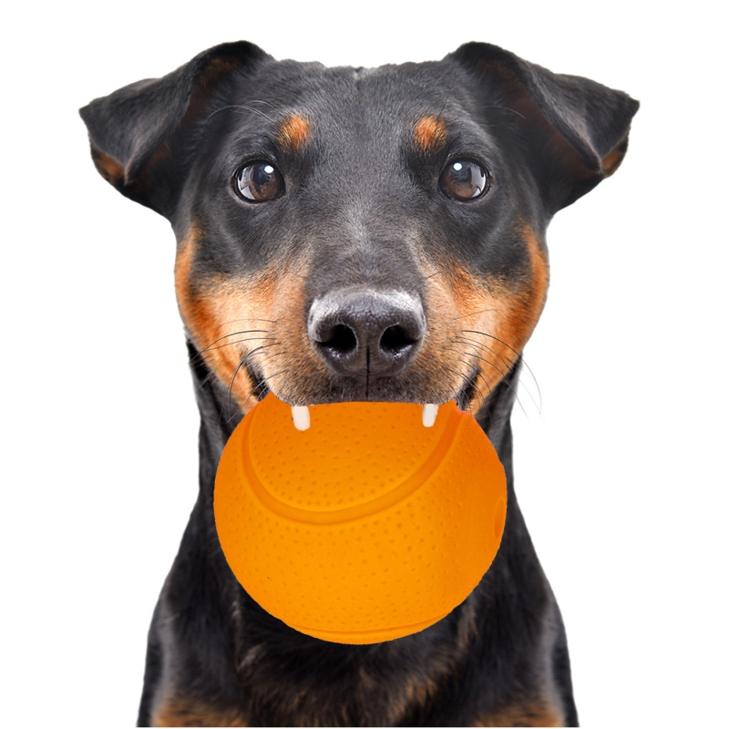 HappyPet Glow Balls para perros