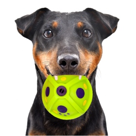 HappyPet Lachende Leckerli-Ball - Spielzeug für Hunde