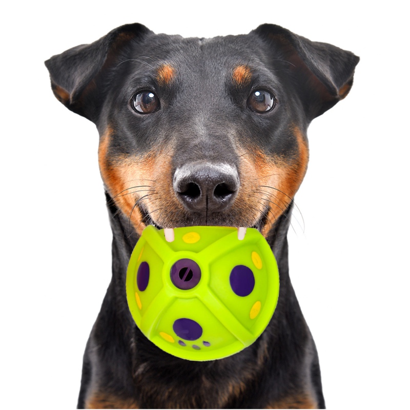 HappyPet Laughing Treat Ball - Dog Toy