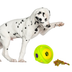 HappyPet Laughing Treat Ball - Piłka dla psa