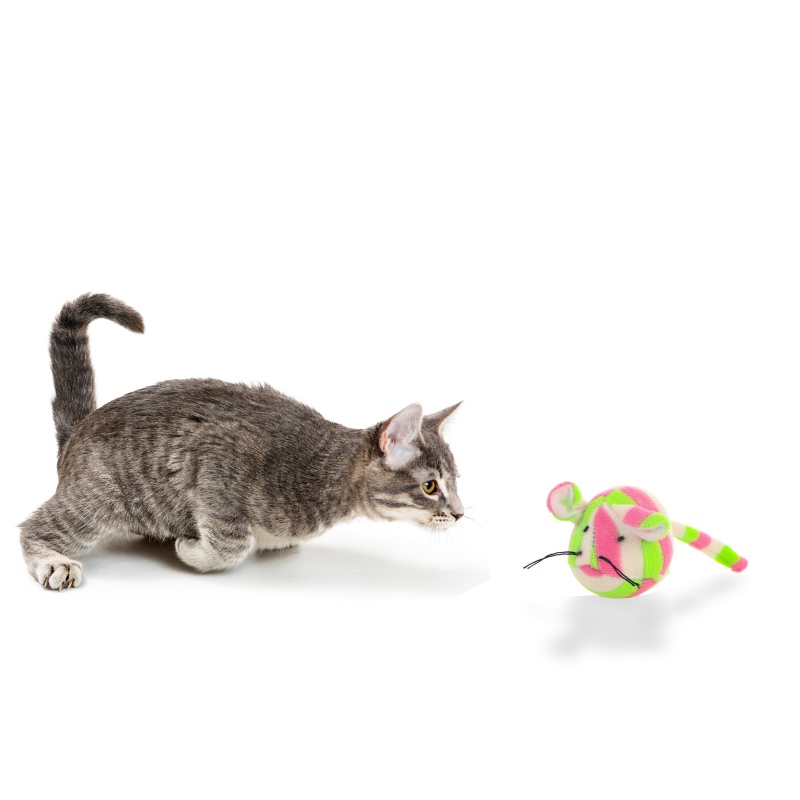 HappyPet Candy Stripe Mice for cats