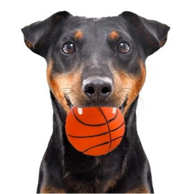 HappyPet Sportballen voor honden