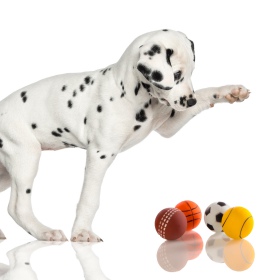 HappyPet Sportball - elastischer Spielball für Hunde