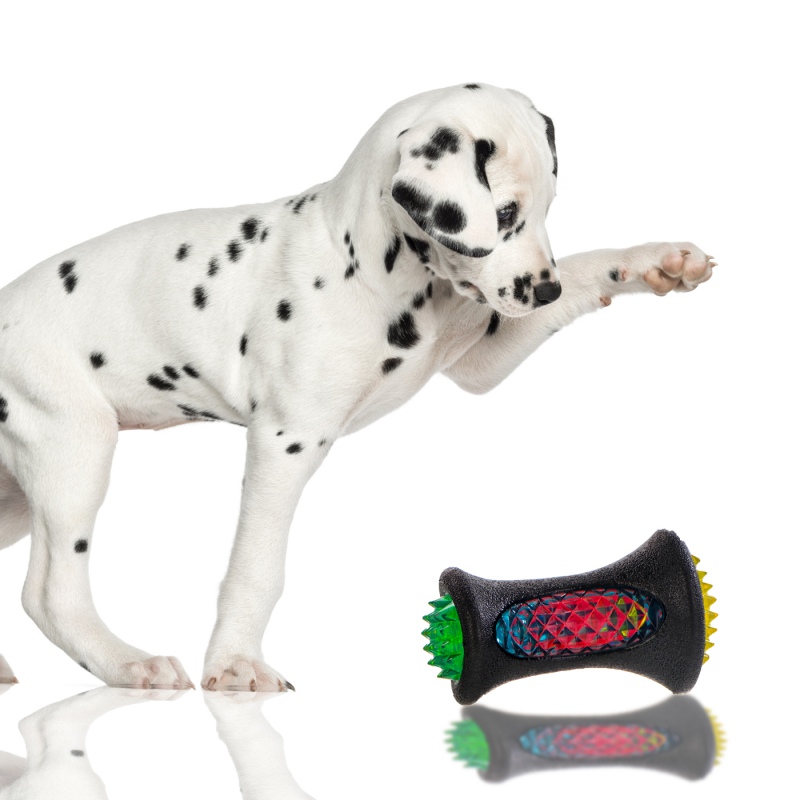 HappyPet Disco Dazzler LED Teething Toy