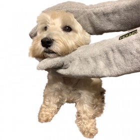 Groom Rub Down Handschuhe