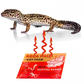 Aqua Heat Pack 40H Gold - Riscaldatore