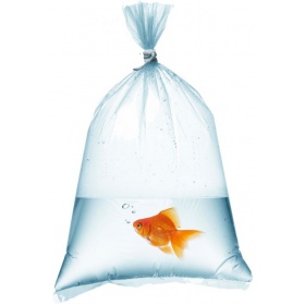 Aquarium fish bags 12x35cm - 50 pieces.