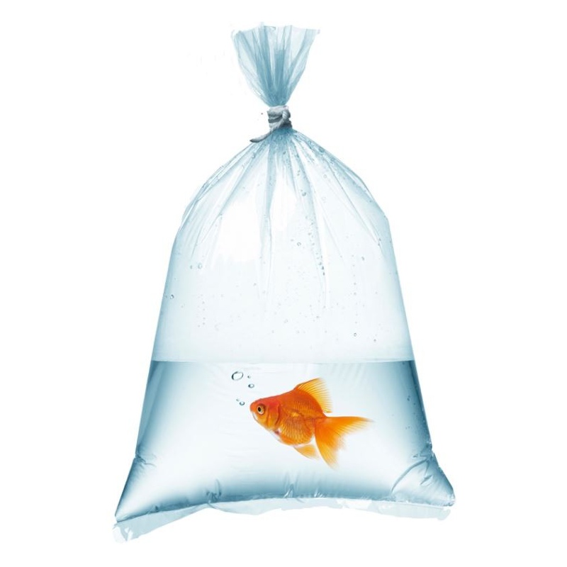 Aquarium fish bags 12x35cm - 50 pieces.