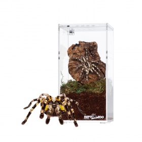 Repti-Zoo High Acrylic Terrarium 15cm