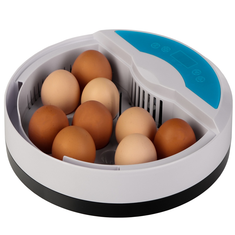 LED Incubator HFM Thermo 9 for 9 eggs with a thermostat