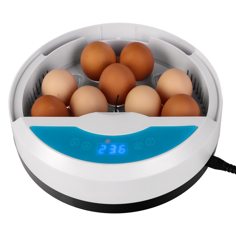 LED Incubator HFM Thermo 9 for 9 eggs with a thermostat