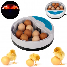 LED Incubator HFM Thermo 9 for 9 eggs with a thermostat