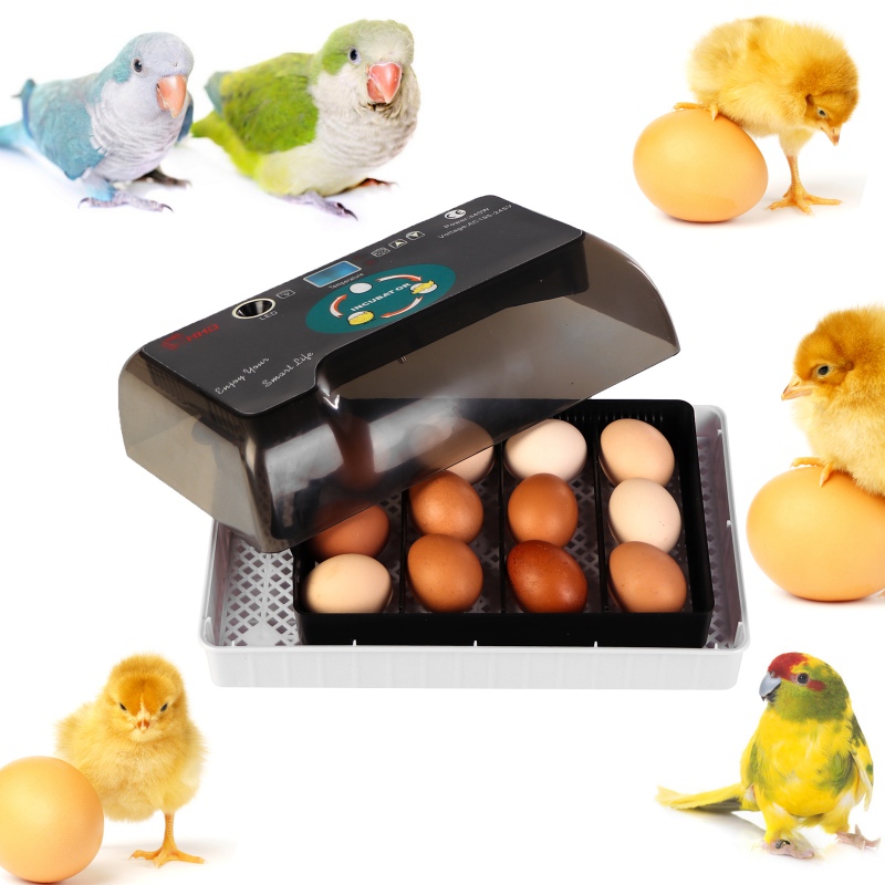 HFM Brüterei Thermo 12 Egg Incubator