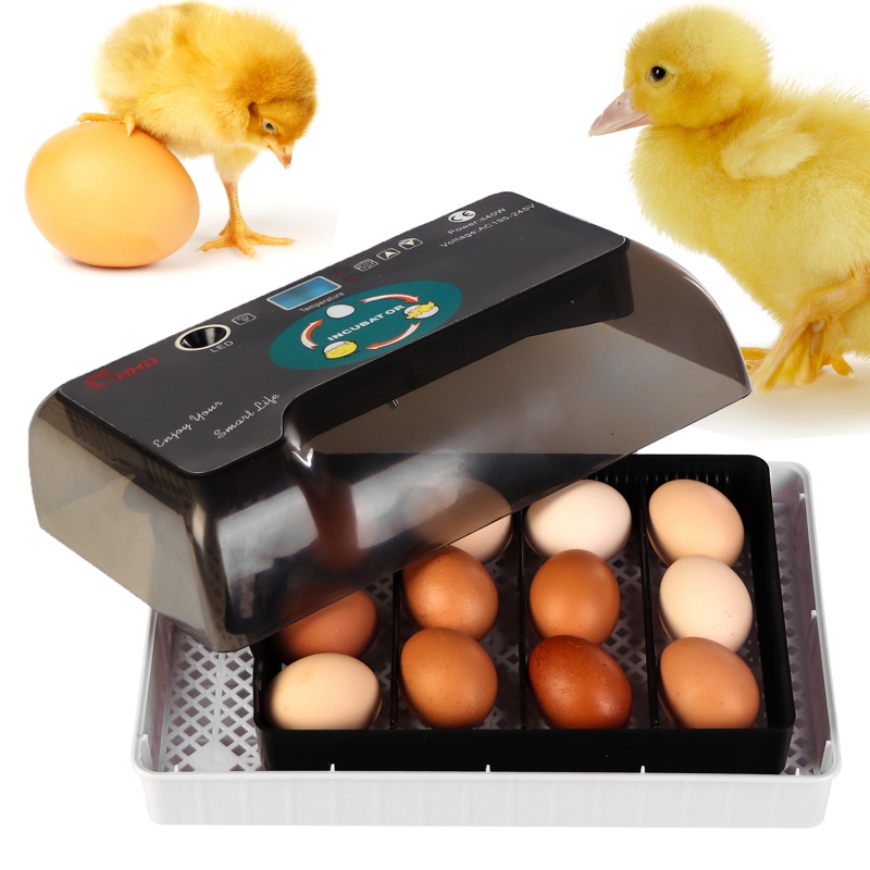 HFM Brüterei Thermo 12 Egg Incubator