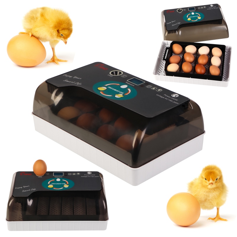 HFM Brüterei Thermo 12 Egg Incubator