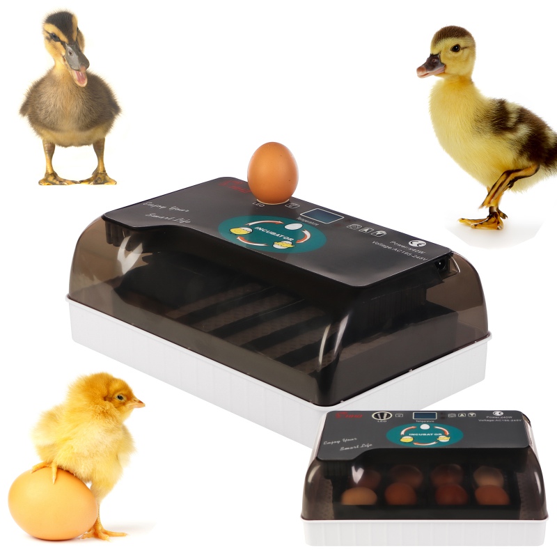 HFM Brüterei Thermo 12 Egg Incubator