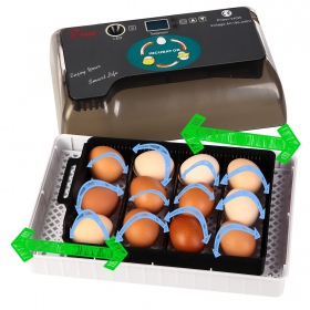 HFM Brüterei Thermo 12 Egg Incubator