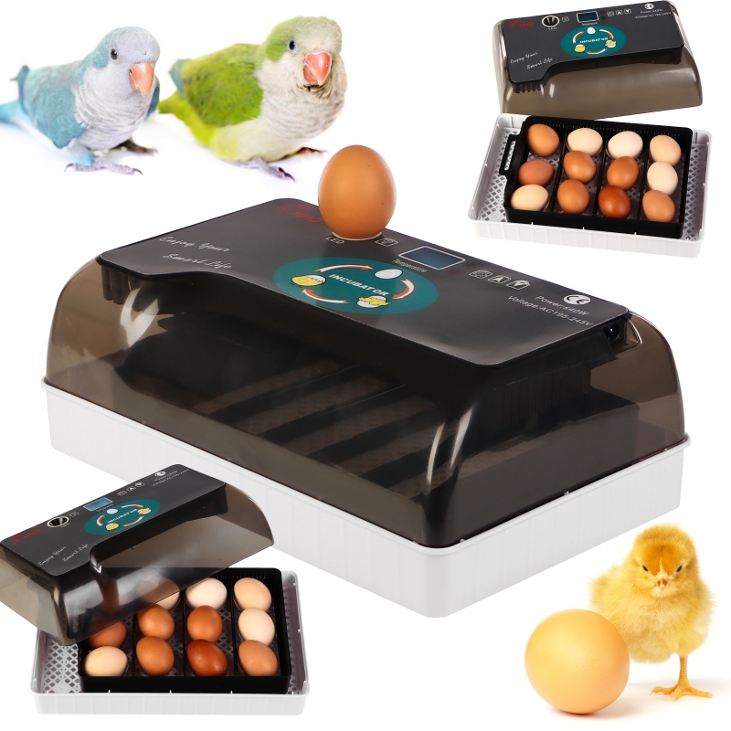 HFM Brüterei Thermo 12 Egg Incubator