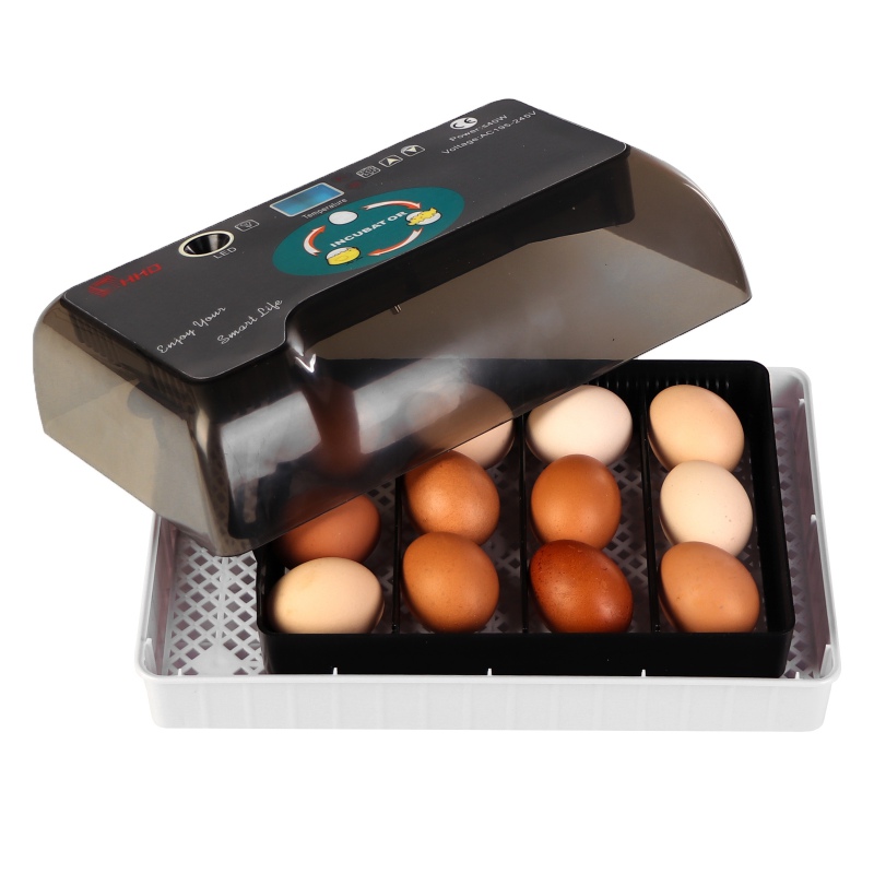 HFM Brüterei Thermo 12 Egg Incubator