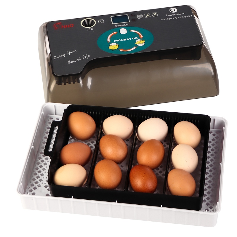 HFM Brüterei Thermo 12 Egg Incubator