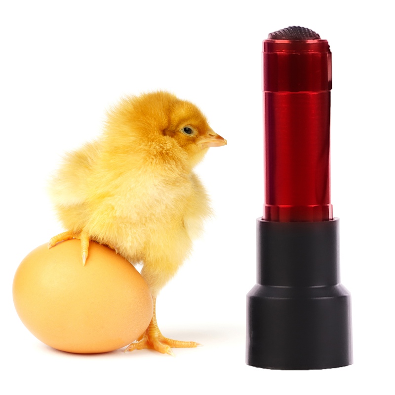 ZECO Mini Light - Egg Candler