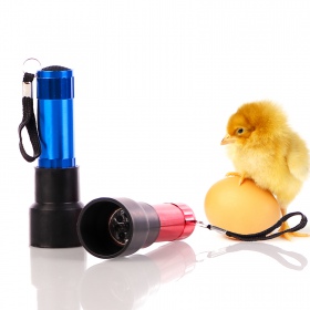 ZECO Mini Light - Egg Candler