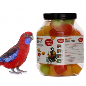 HappyPet Tweeter's Treats Fruity Jelly Pots