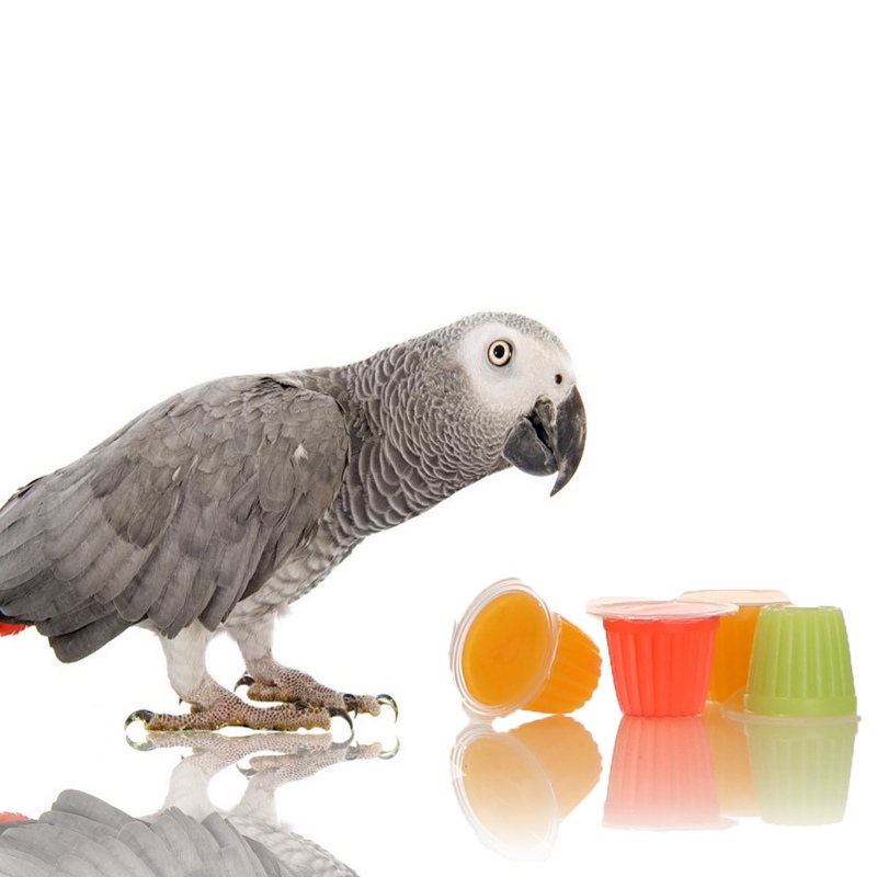 HappyPet Jelly Pots para aves - mistura de sabores