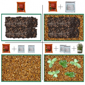 Eco Plant - Plant Substrate 1L