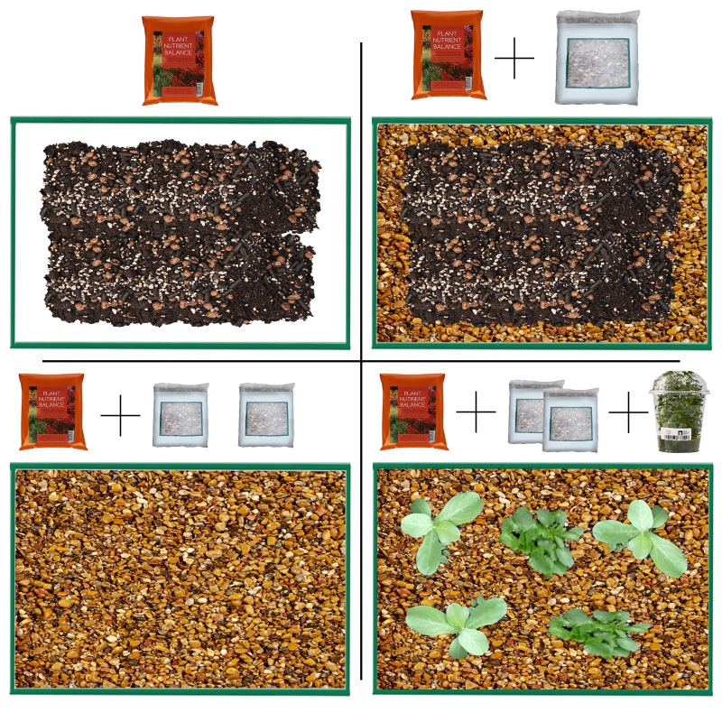 Eco Plant - Plant Nutrient Balance 1l - podłoże