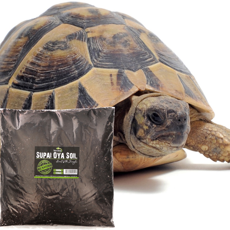 Terrario Supai Oya Soil - Substrat für Schildkröten 6L