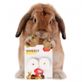 HappyPet Wheely Salty - Salz für Nagetiere