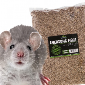 Terrario Eversong Fiber 5l - Natural Substrate