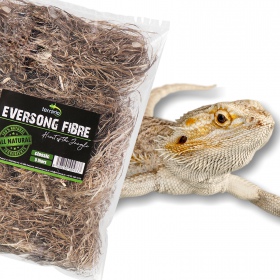 Terrario Eversong Fibre Classic 5l